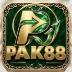 pak888 game