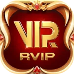 Rvip